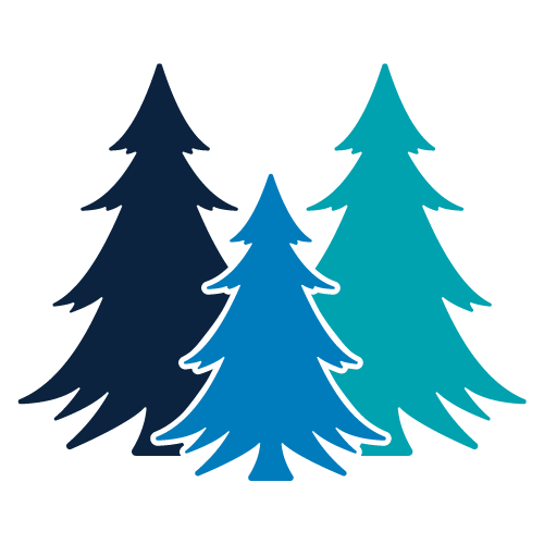 Spruce Tree Media tree mark